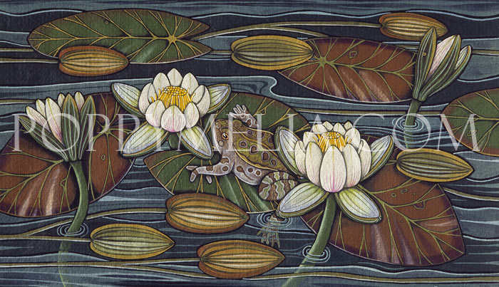 Frog and Waterlilies Painting by Poppy Melia