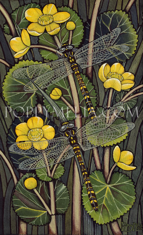 Dragon Flies and Kingcups Painting by Poppy Melia