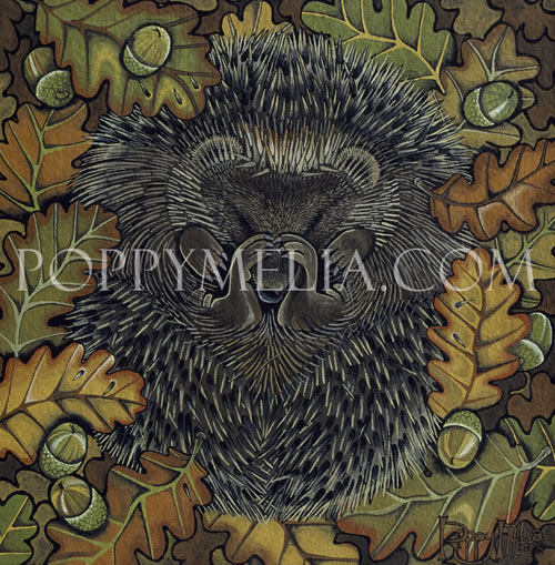 Hedgehog Painting by Poppy Melia